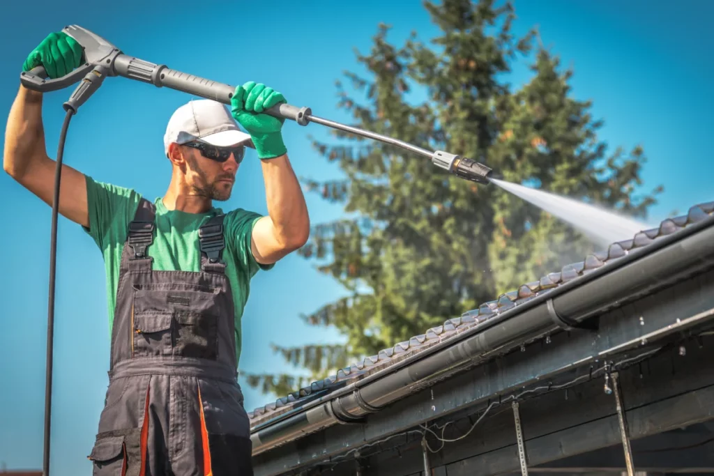 moss removal pressure washing